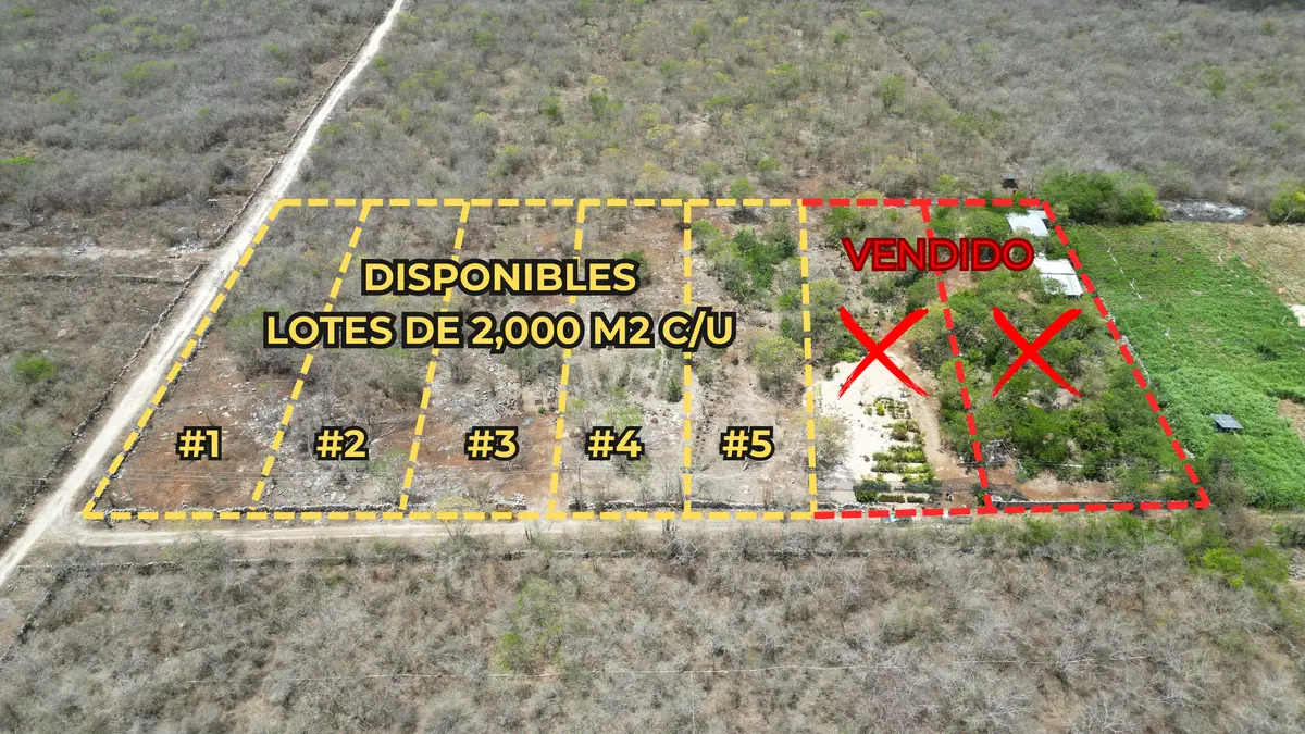 5 Terrenos en Venta en Chicxulub Pueblo. ¡Con Financiamiento!