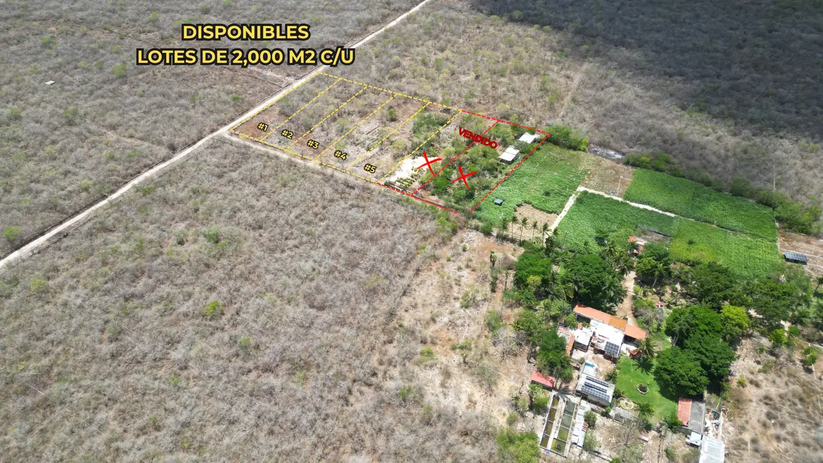5 Terrenos en Venta en Chicxulub Pueblo. ¡Con Financiamiento! — foto 2