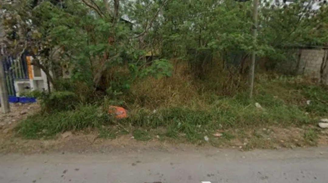 VENTA/RENTA de terreno al norte de Mérida, Yucatá, ubicado cerca del periferico — foto 3