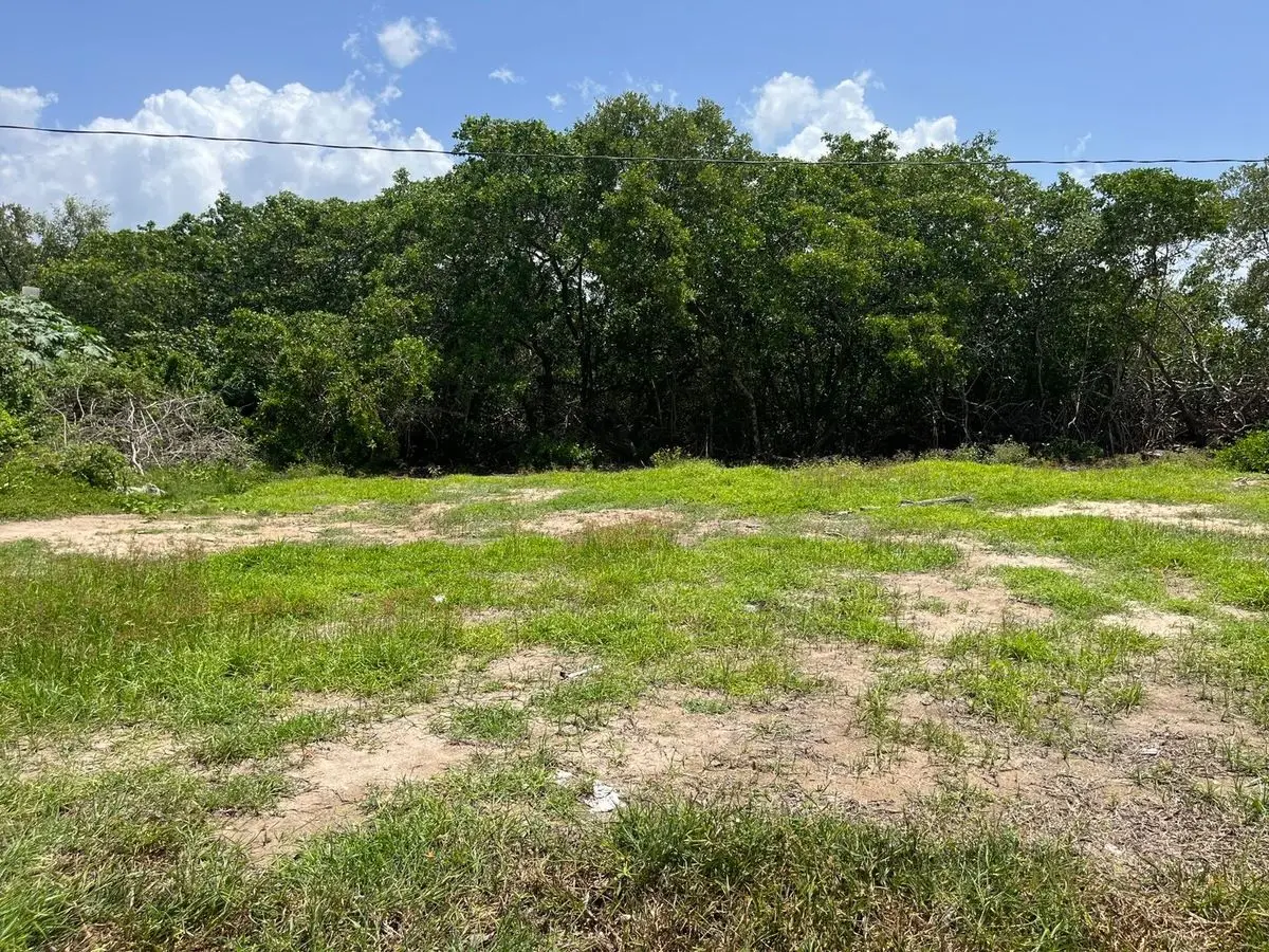 Terreno en Telchac a cuatro cuadras de la playa — foto 4