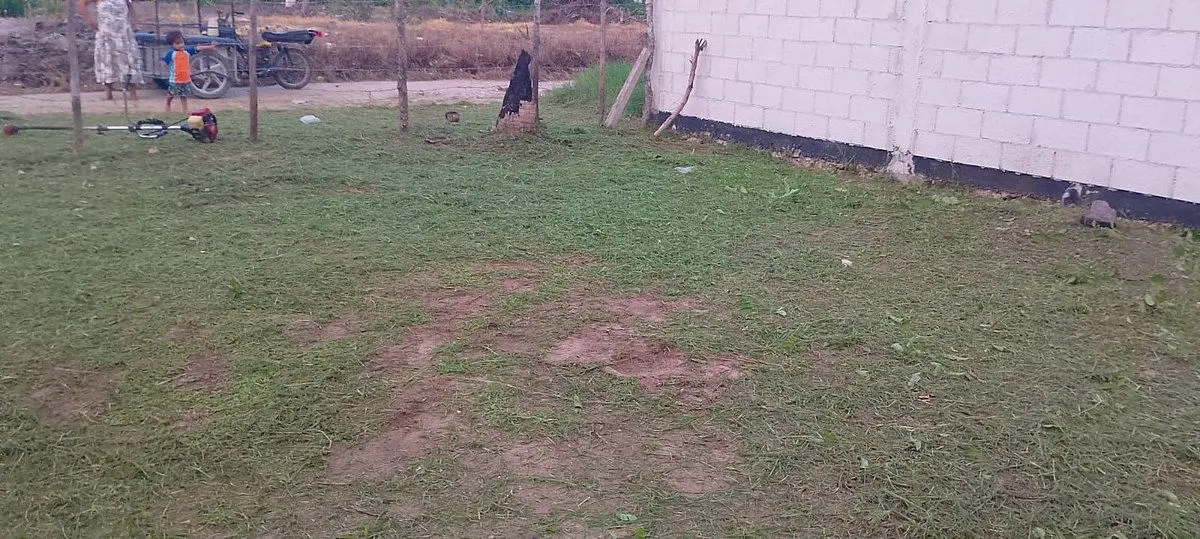 Terreno en Telchac Puerto para invertir — foto 2