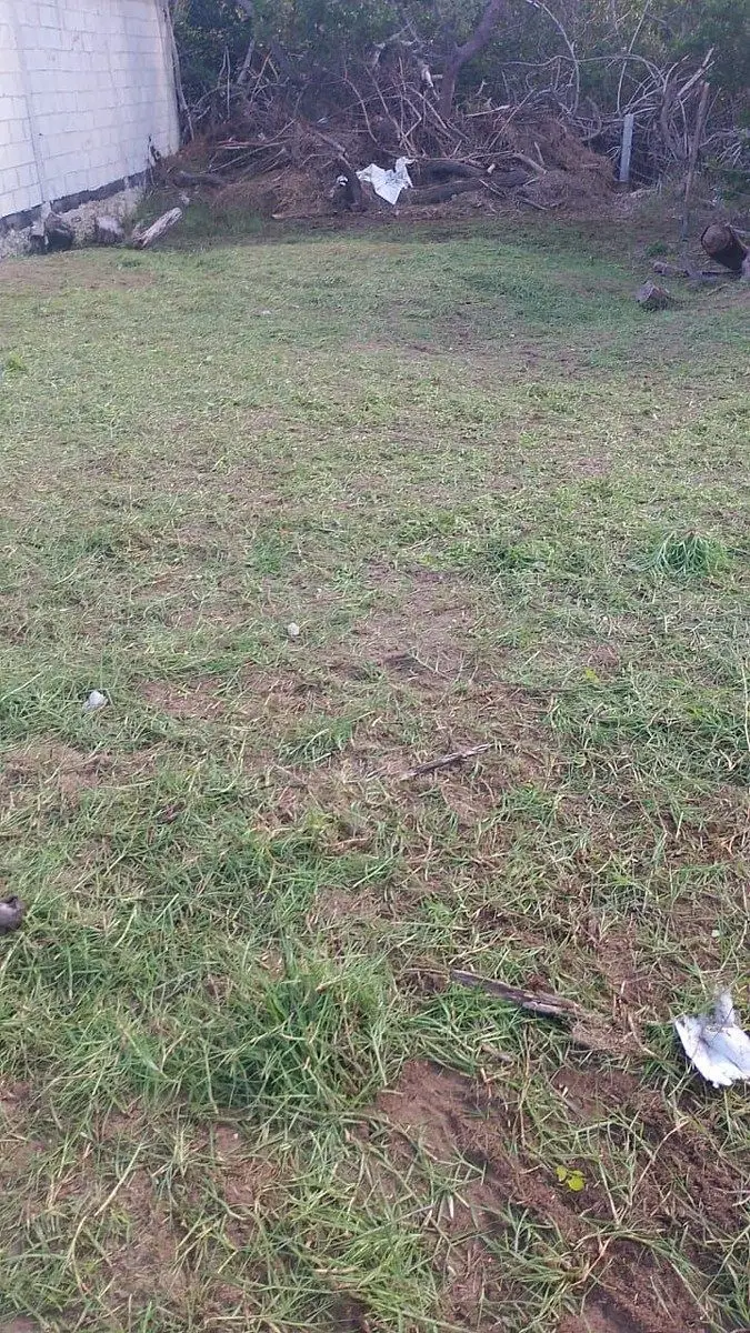 Terreno en Telchac Puerto para invertir — foto 3
