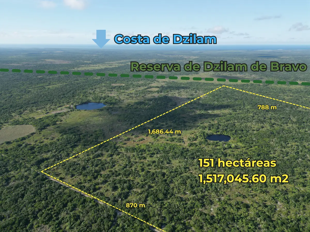 151 hectáreas con cenote propio y colindancia con reserva natural. — foto 5