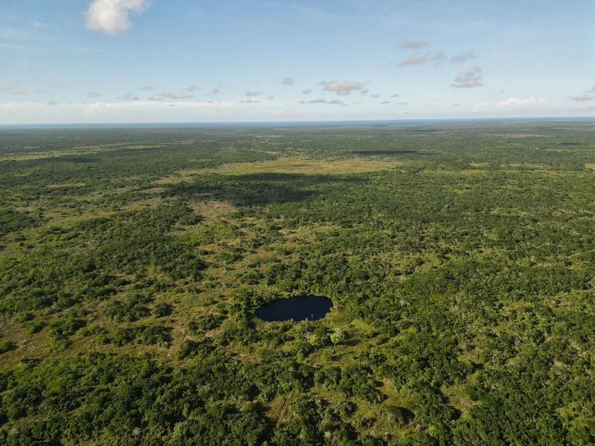 151 hectáreas con cenote propio y colindancia con reserva natural. — foto 6