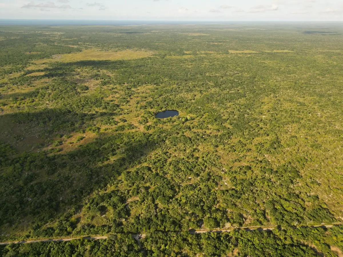 151 hectáreas con cenote propio y colindancia con reserva natural. — foto 8