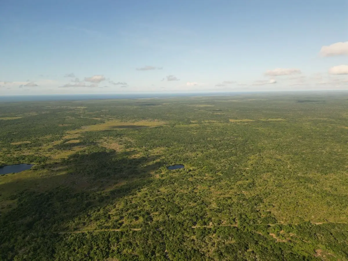 151 hectáreas con cenote propio y colindancia con reserva natural. — foto 9