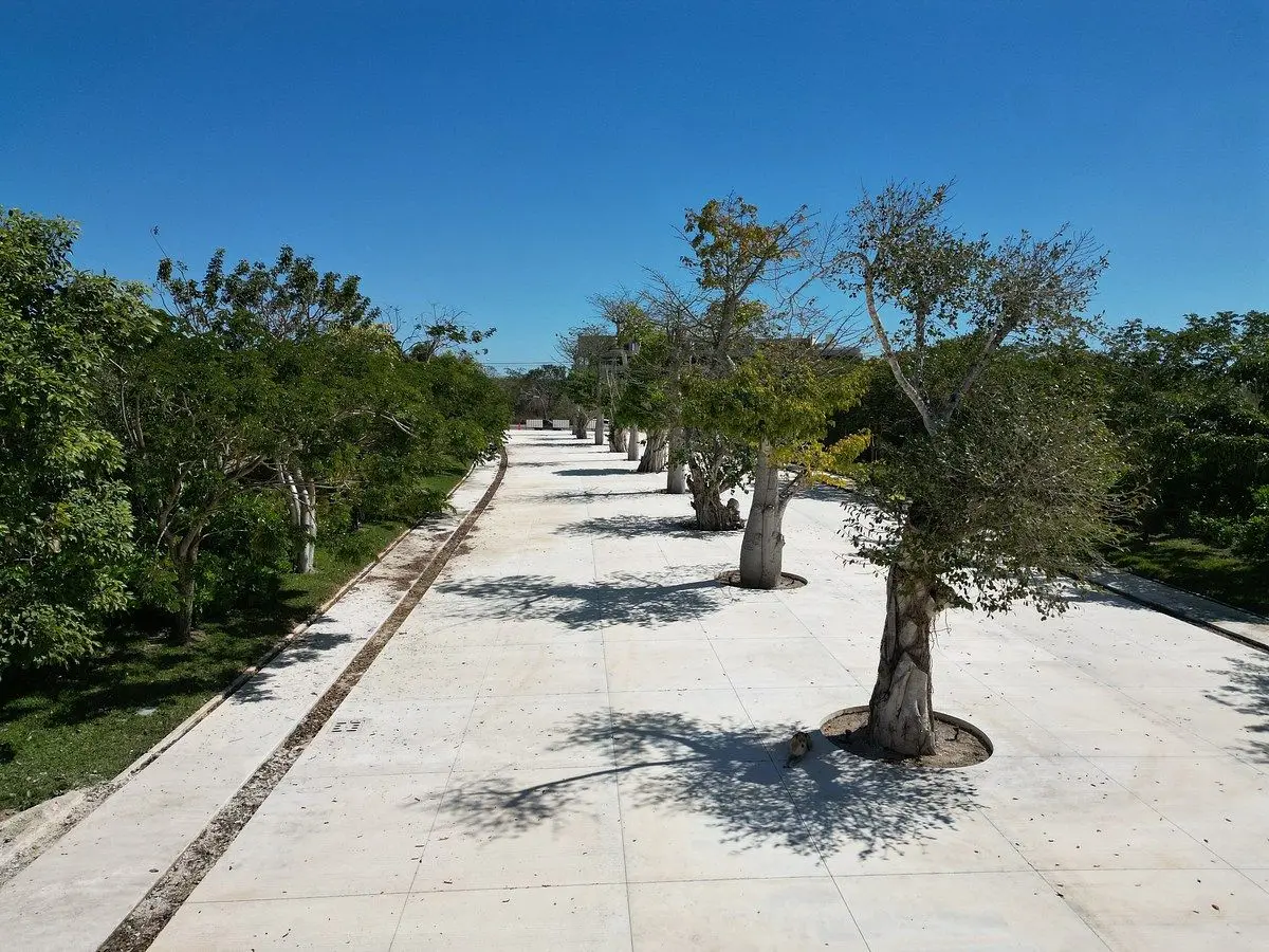 Terreno en privada Galiana Paseo Norte | 399.73 m² con amenidades. — foto 4