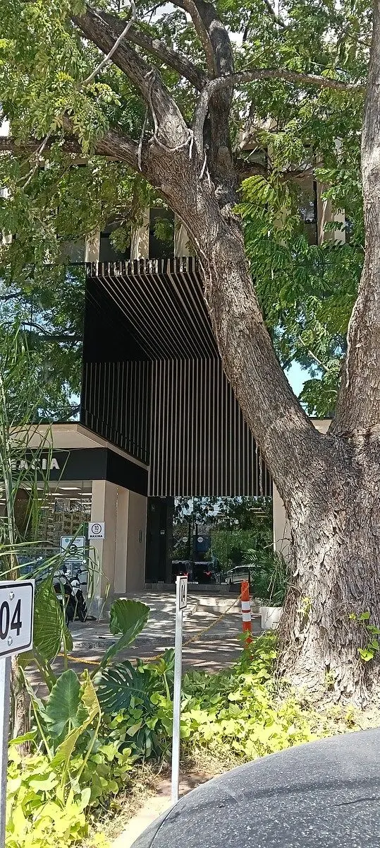 Penthouse con amenidades en colonia México Mérida Yucatán — foto 5