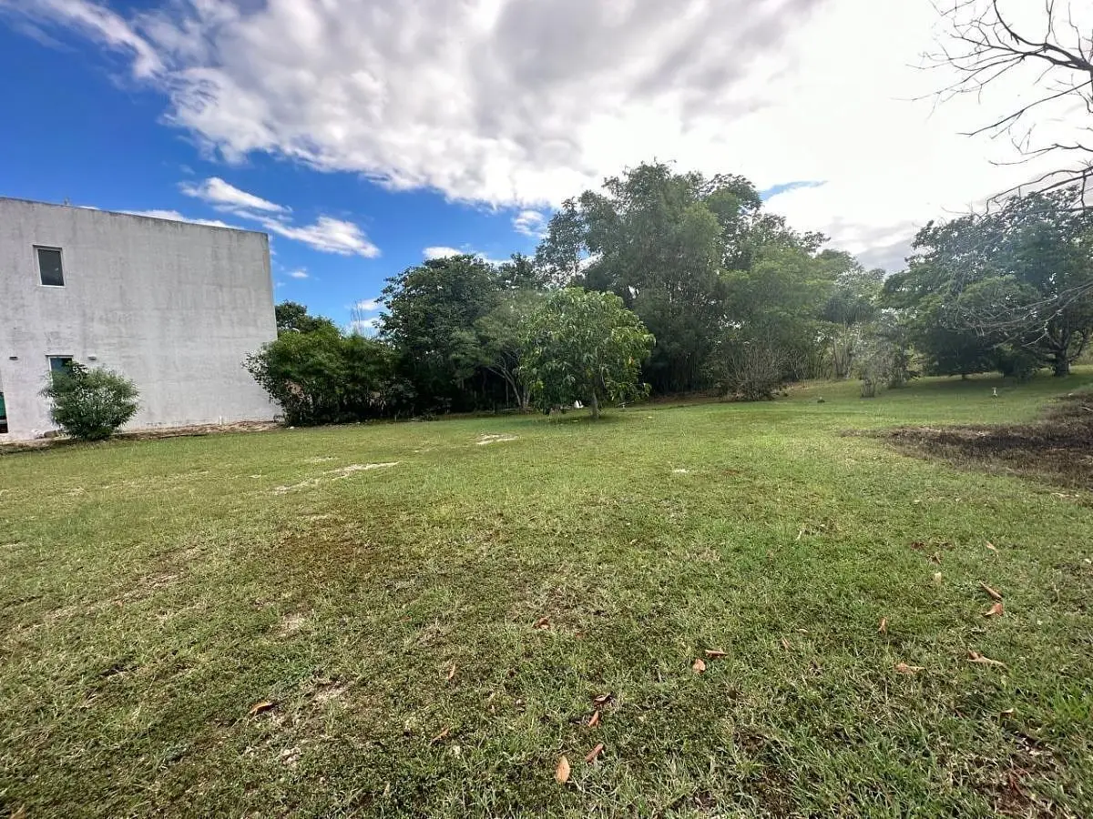 Terreno de inversión en Cholul, a 3 minutos del periférico de Mérida — foto 6
