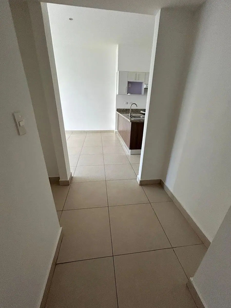 Depto en renta Via Montejo edificio Oceana amenidades en Mérida — foto 5