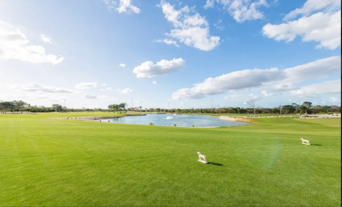Remate de 2 Lotes a solo $3,600 por m2 Provincia Club de Golf, Yucatán — foto 2