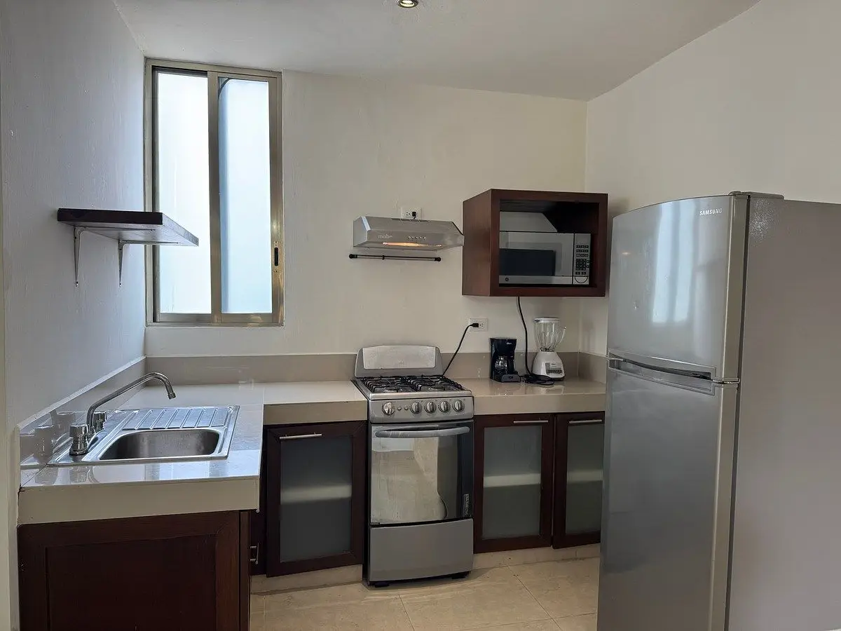Departamento amueblado de una recamara sobre av García Lavín, San Ramon norte — foto 11