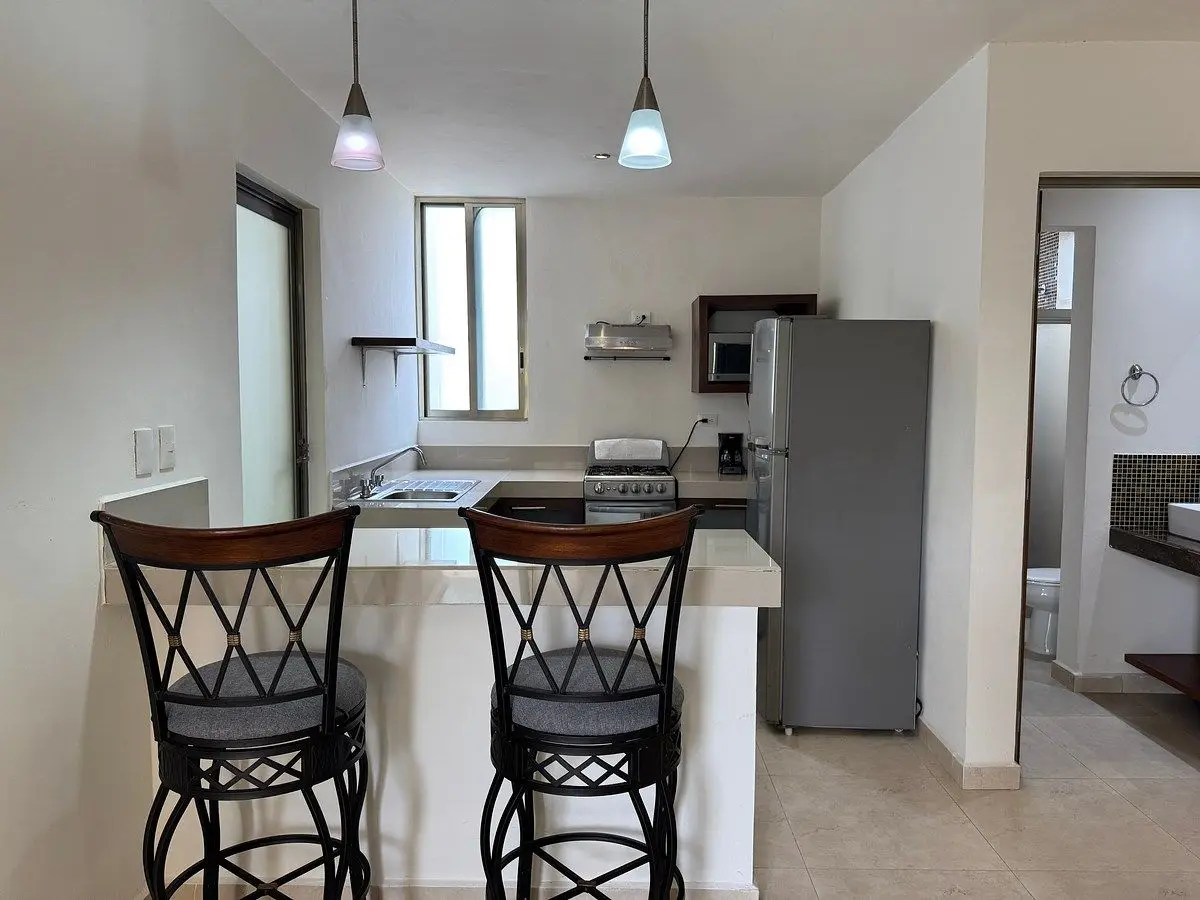 Departamento amueblado de una recamara sobre av García Lavín, San Ramon norte — foto 10