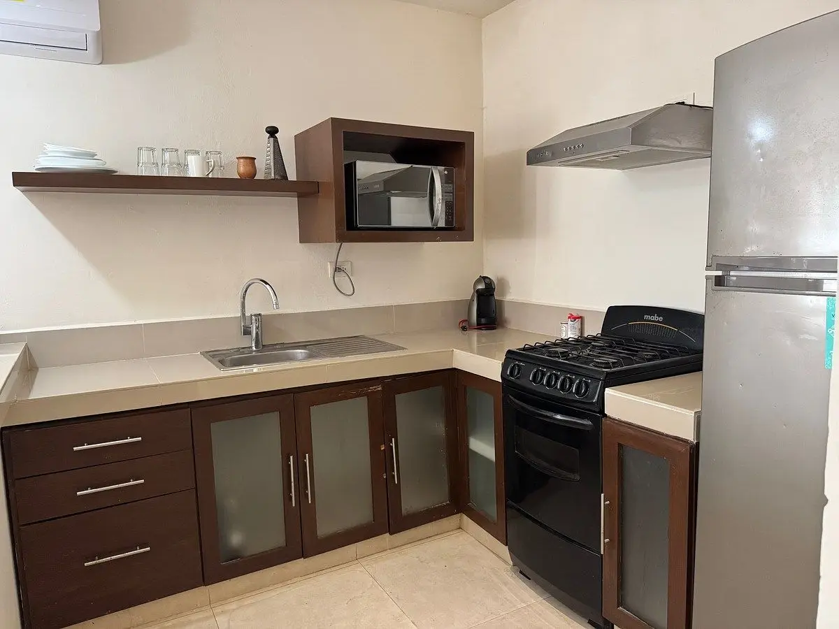 Departamento amueblado de una recamara sobre av García Lavín, San Ramon norte — foto 6