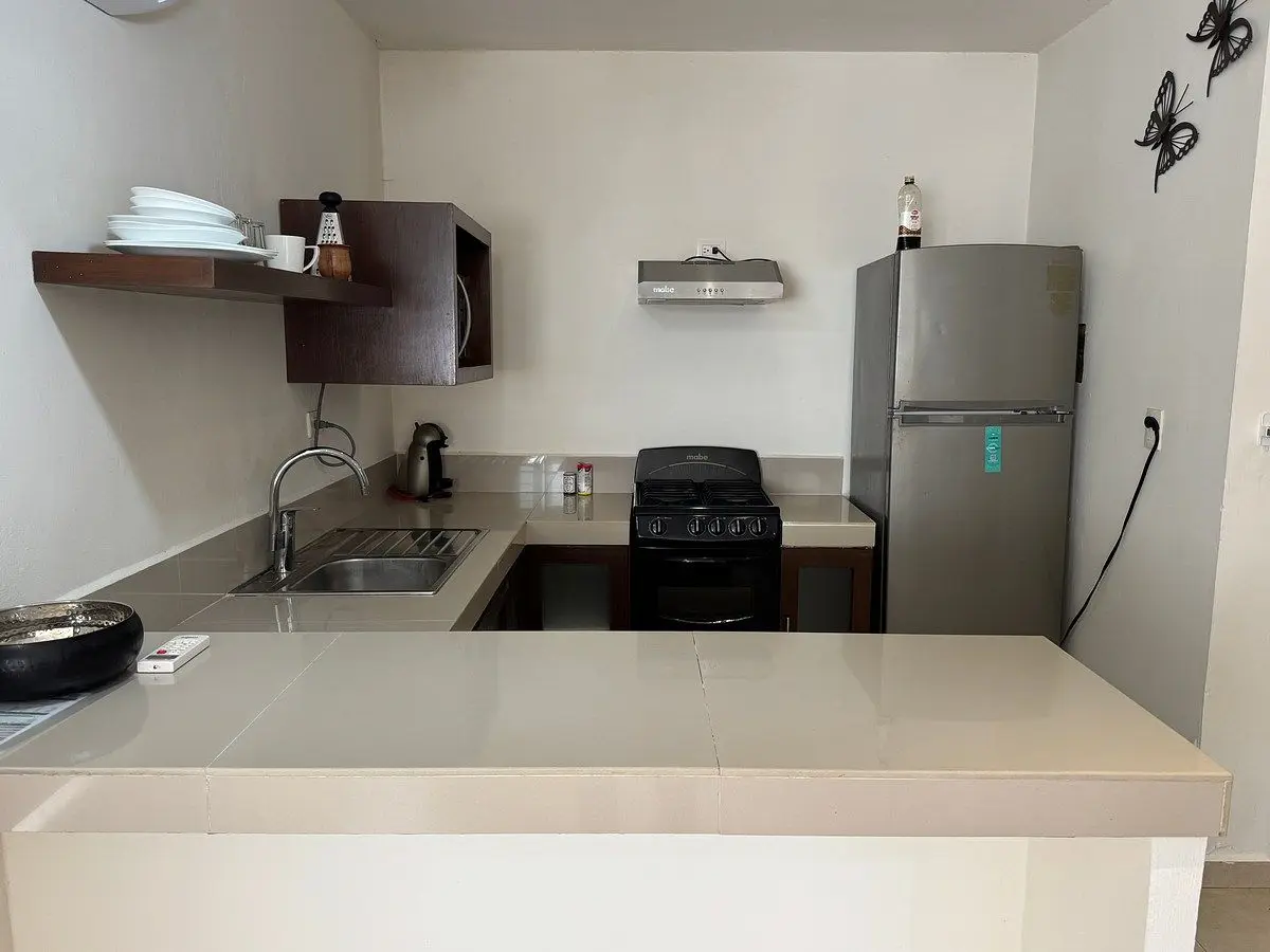Departamento amueblado de una recamara sobre av García Lavín, San Ramon norte — foto 7