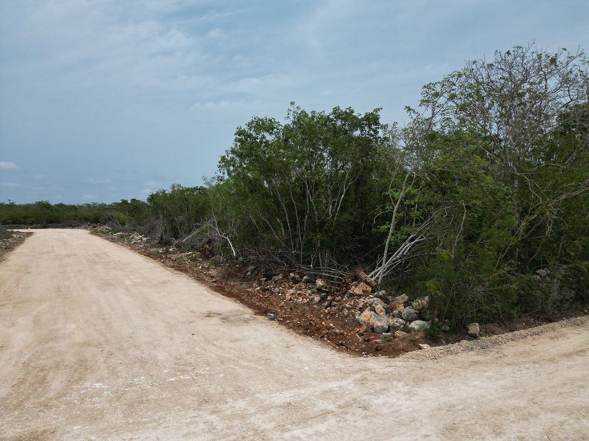 ¡Terreno para desarrollar! en frente de Hacienda San Eduardo, Telchac. — foto 9