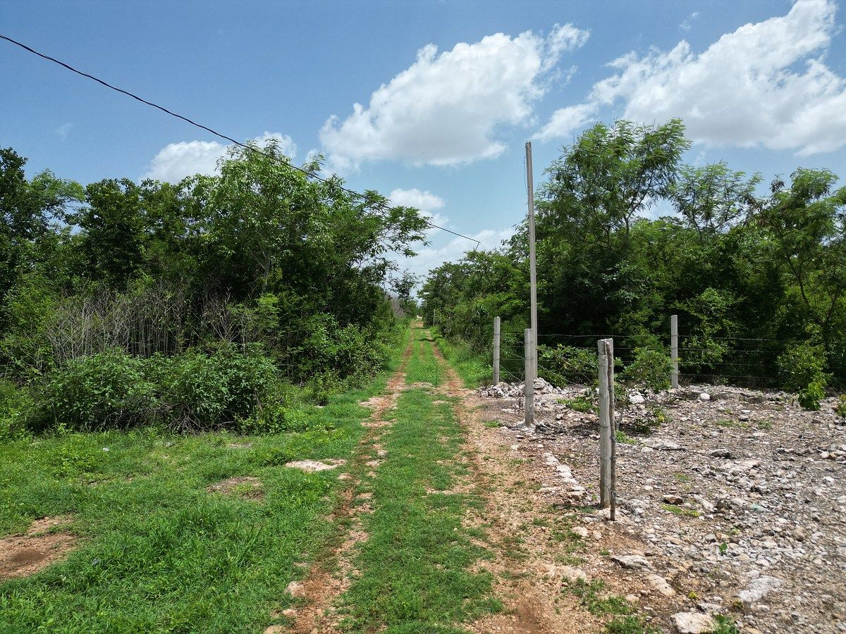 Amplio Lote Residencial con Financiamiento, en Chablekal, Mérida — foto 4