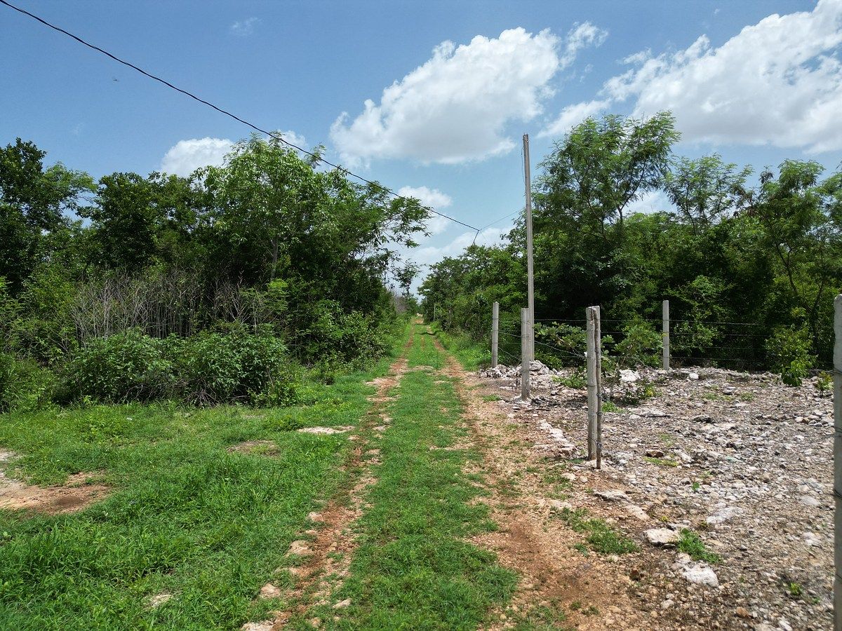 Amplio Lote Residencial con Financiamiento, en Chablekal, Mérida — foto 6