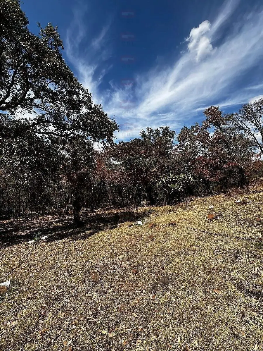 Arandas Terreno Ideal para Casa de Campo — foto 2