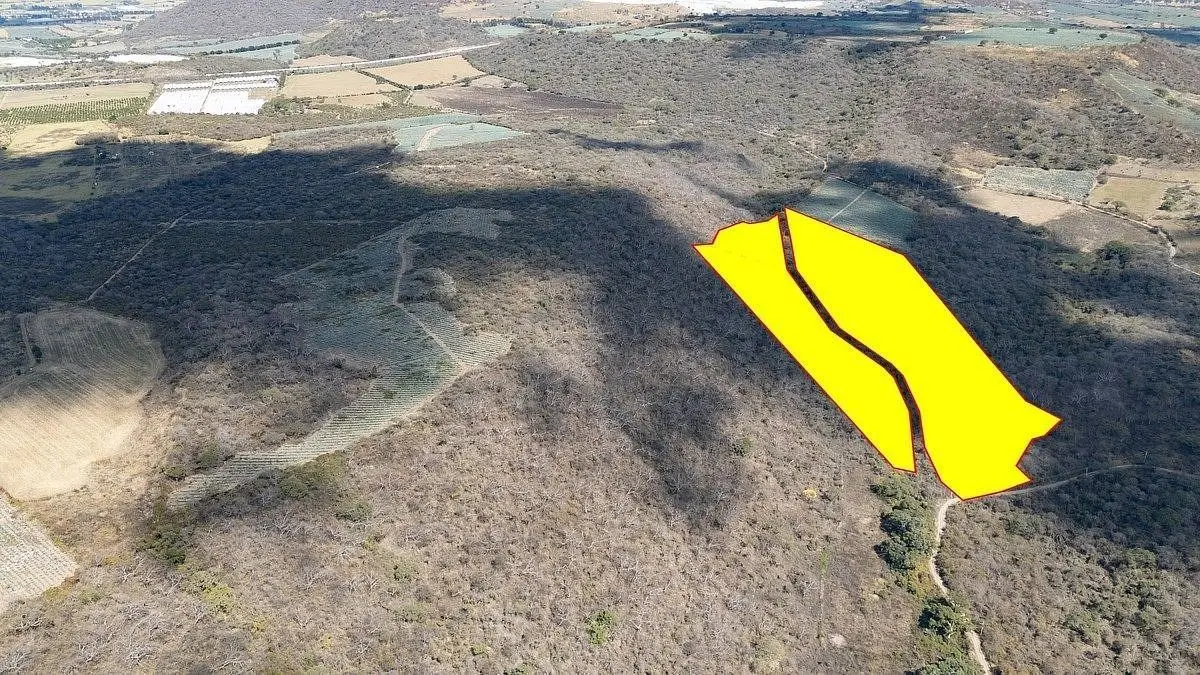 Acatlán Terreno de 10 Hectareas en Venta — foto 2
