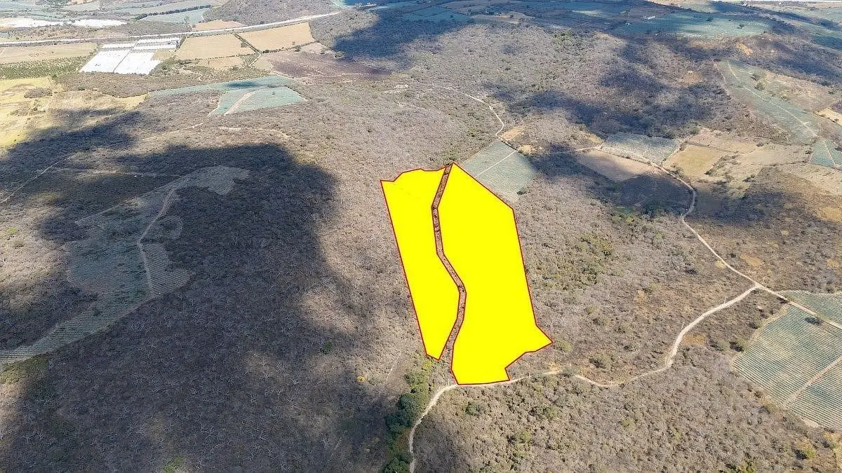 Acatlán Terreno de 10 Hectareas en Venta — foto 3