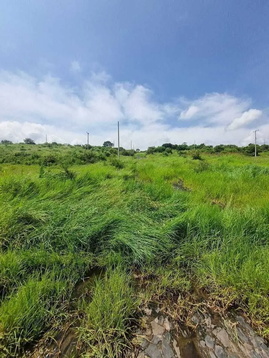 Puertas del Sol Tonala Terrenos en Venta — foto 6