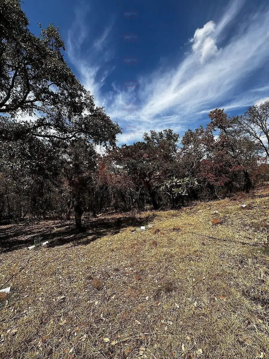 Arandas Terreno Ideal para Casa de Campo — foto 2