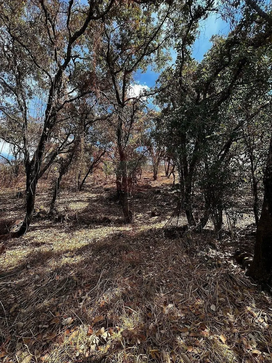 Arandas Terreno Ideal para Casa de Campo — foto 4