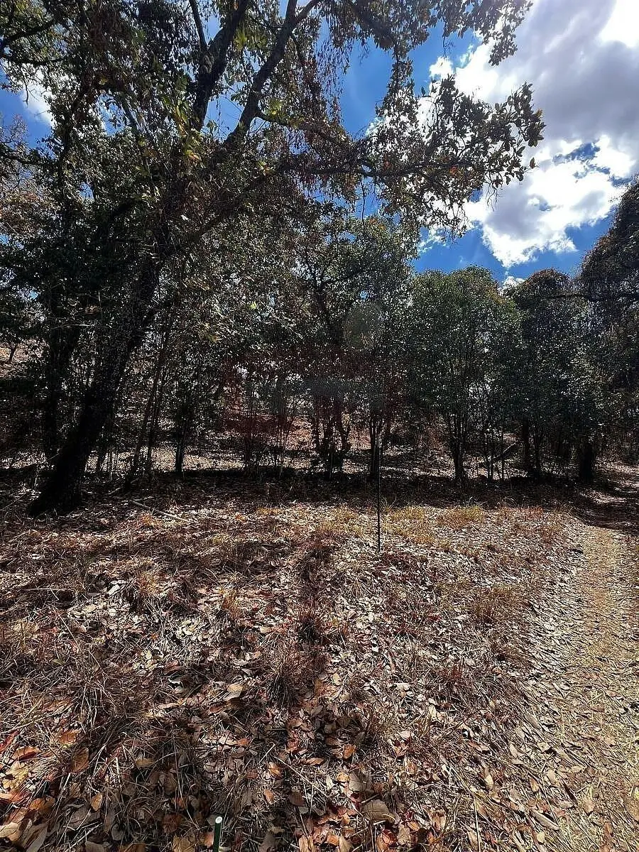 Arandas Terreno Ideal para Casa de Campo — foto 5