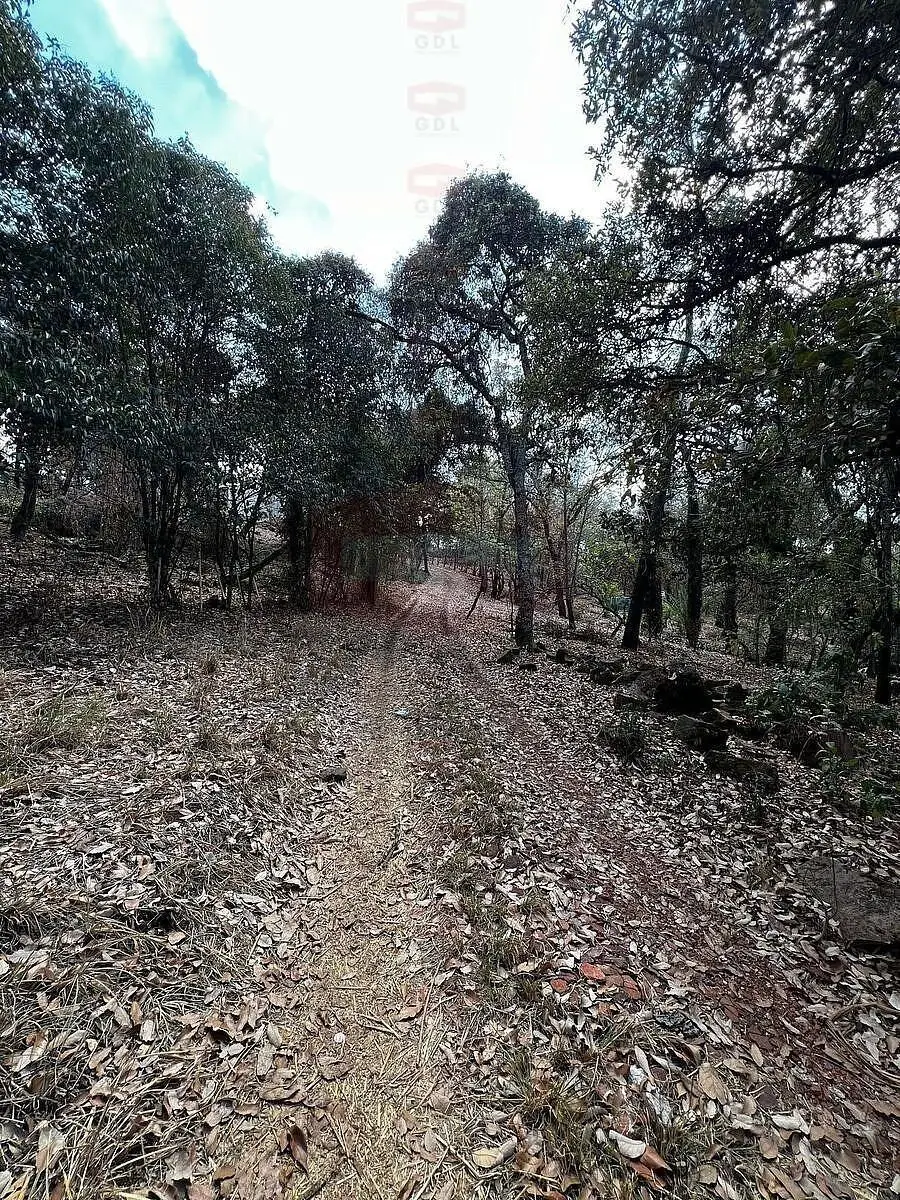Arandas Terreno Ideal para Casa de Campo — foto 6