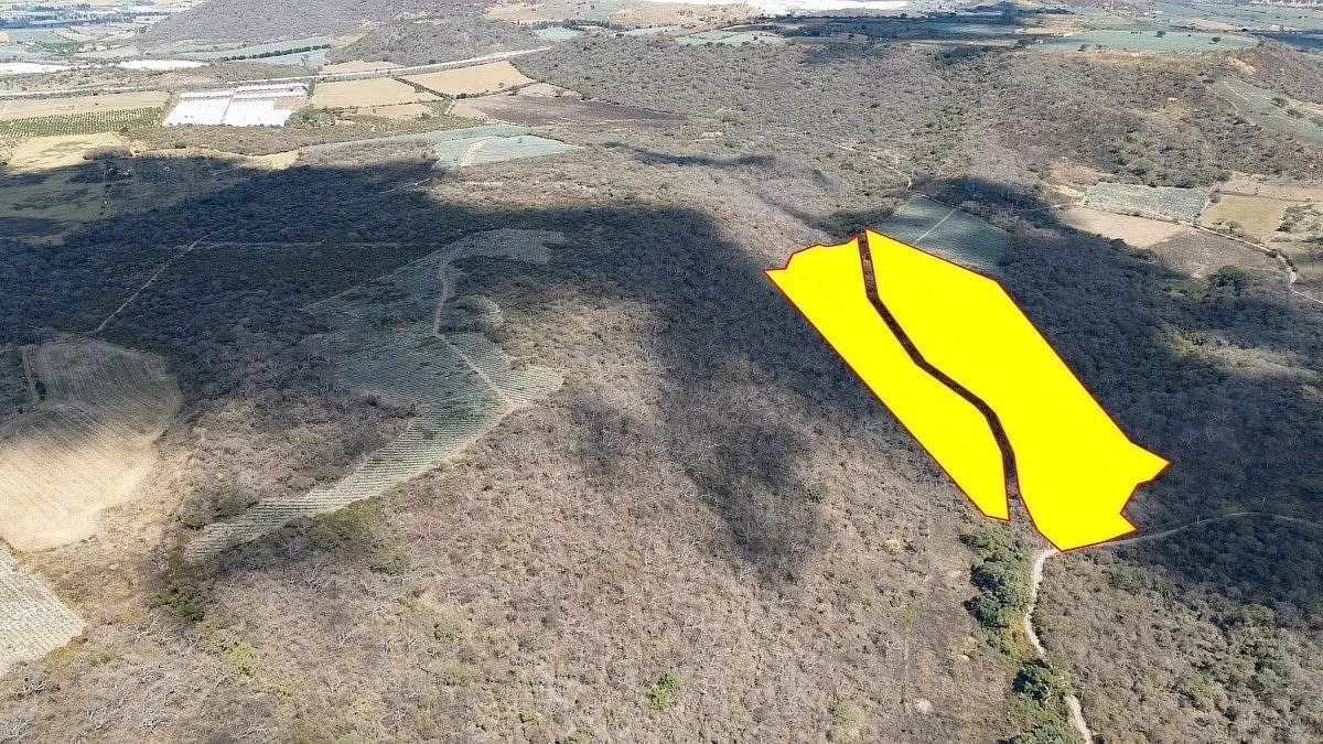 Acatlán Terreno de 10 Hectareas en Venta — foto 2