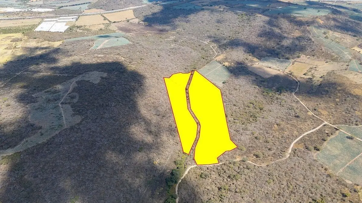 Acatlán Terreno de 10 Hectareas en Venta — foto 3