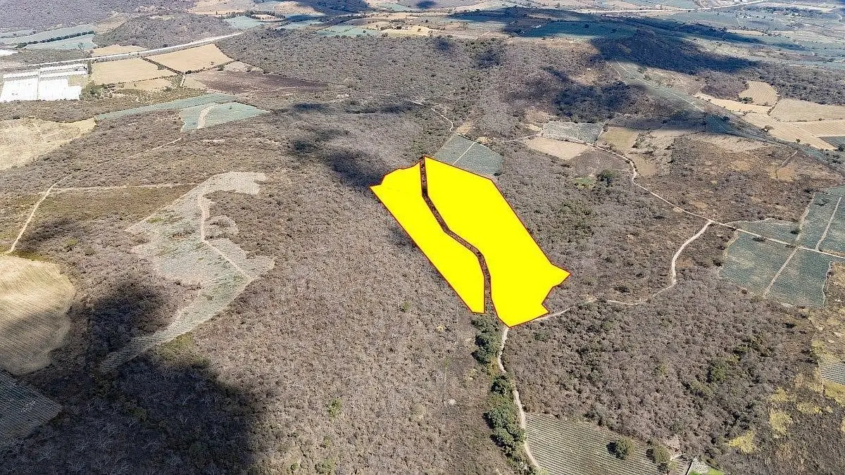 Acatlán Terreno de 10 Hectareas en Venta — foto 5