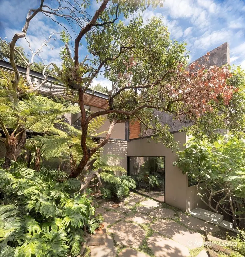Venta Casa Bosques de Santa Fe — foto 6