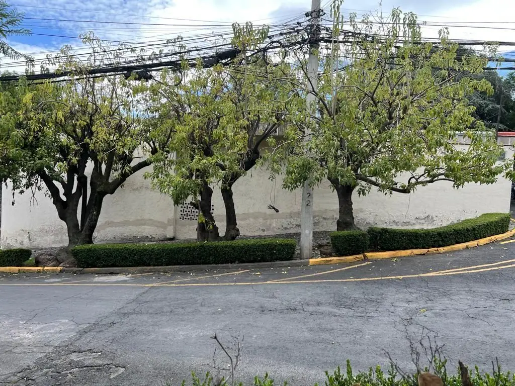 Casa Virreyes , Lomas de Chapultepec-Arq Pani — foto 2