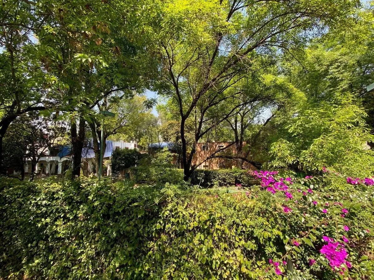 3 lotes , Coyoacán : 5,808 ( unifamiliar -12 viviendas ) — foto 4