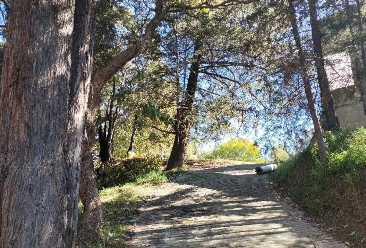 $2,950/ m2 Venta Terreno Jesus del Monte Huixquilucan — foto 2