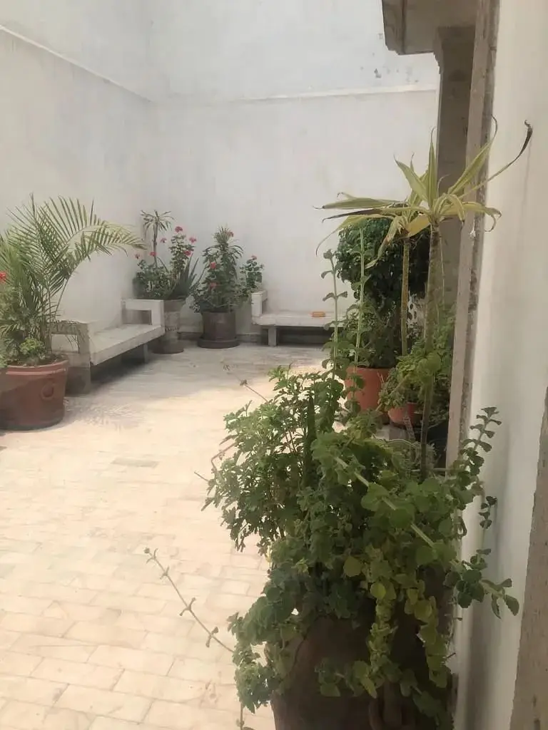 Casa en Venta Lomas de Chapultepec L.m. — foto 7
