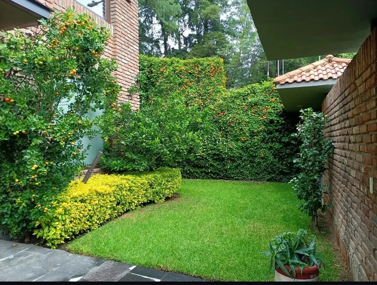 Casa en Venta Lomas de Chapultepec Uso de Suelo Múltiple Lm — foto 8