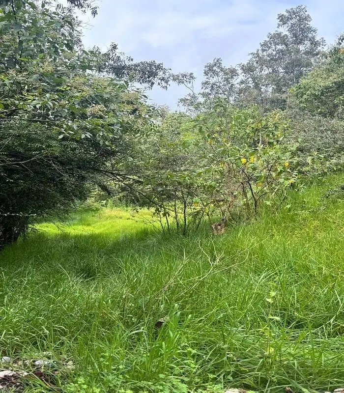 Terreno en Venta Frente a Club de Bosques de Santa Fe — foto 3