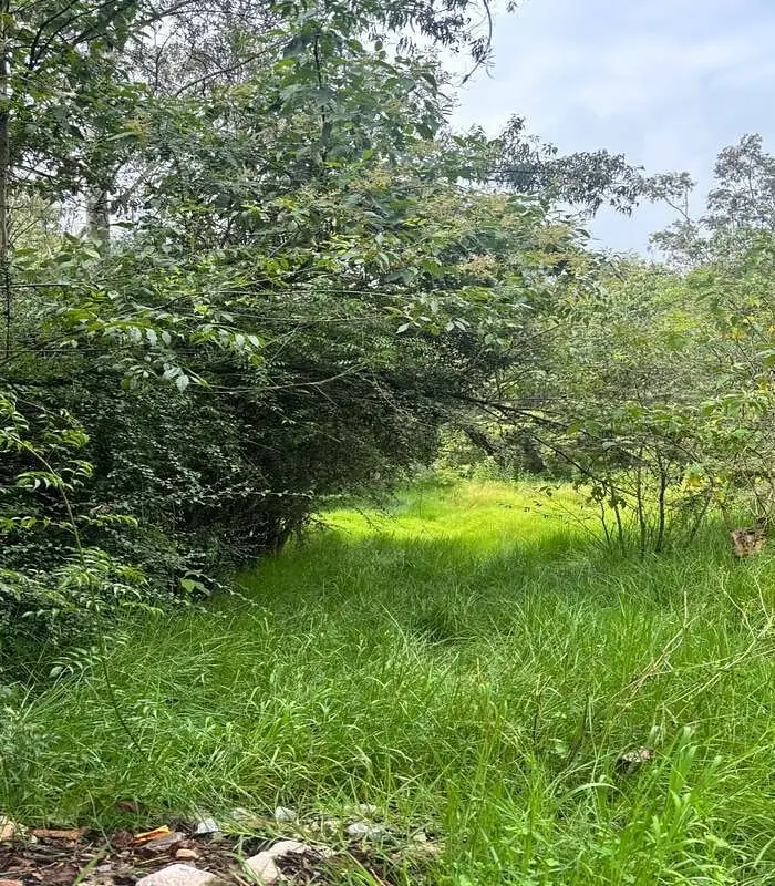 Terreno en Venta Frente a Club de Bosques de Santa Fe — foto 4