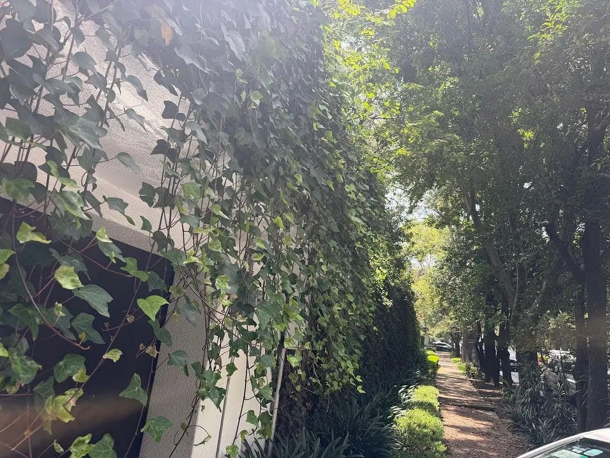 Casa en Venta para Remodelar Paseo de la Reforma — foto 2