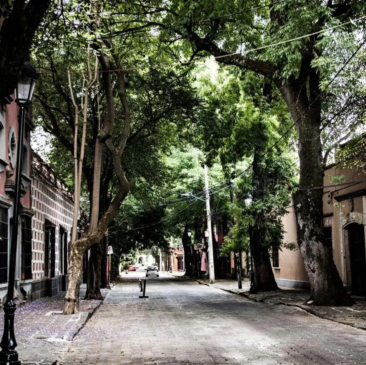 Terrenos en Venta 5,800m2 Zona Sur Bien Ubicados con Construccion — foto 2