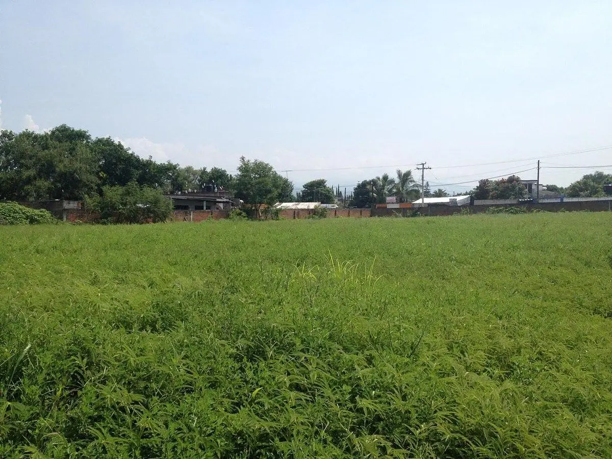 Excelente terreno en venta — foto 3