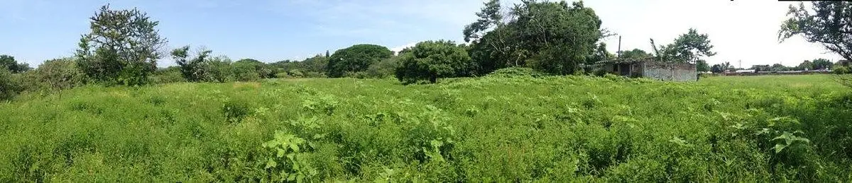 Excelente terreno en venta — foto 5