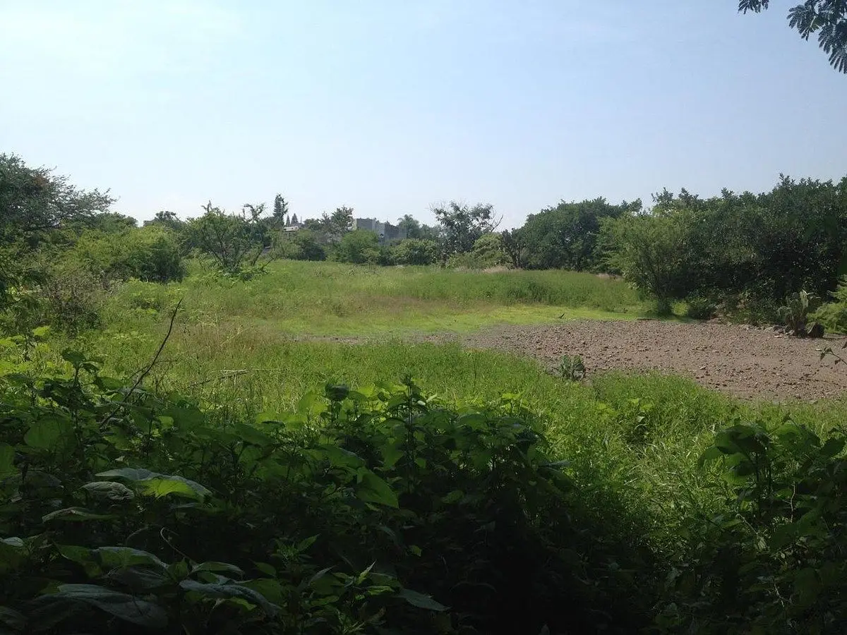 Excelente terreno en venta — foto 7