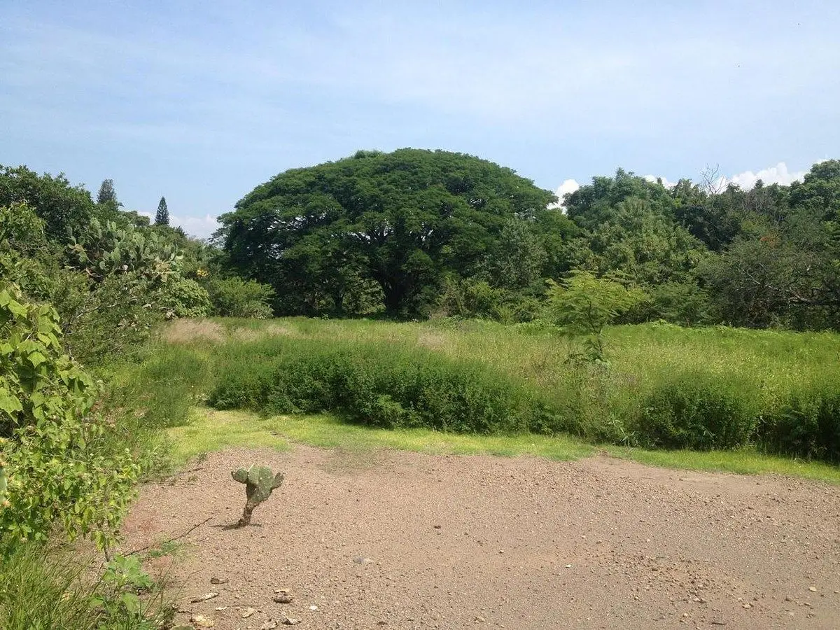 Excelente terreno en venta — foto 8