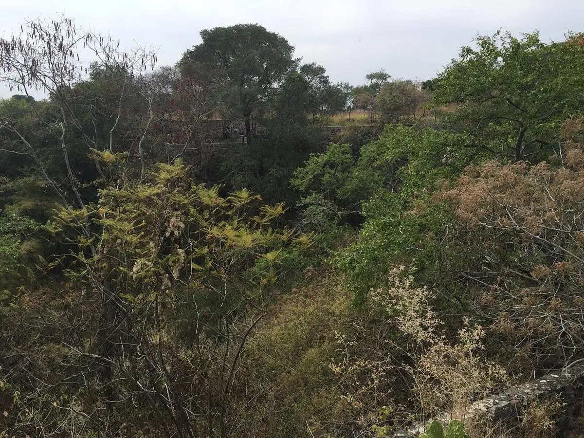 Venta de terreno excelente ubicación — foto 2