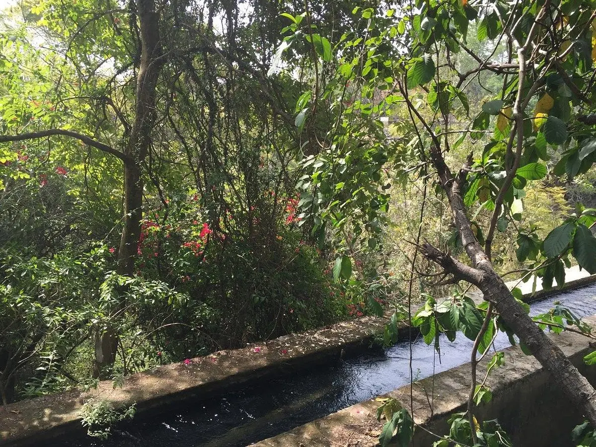 Venta de terreno excelente ubicación — foto 4