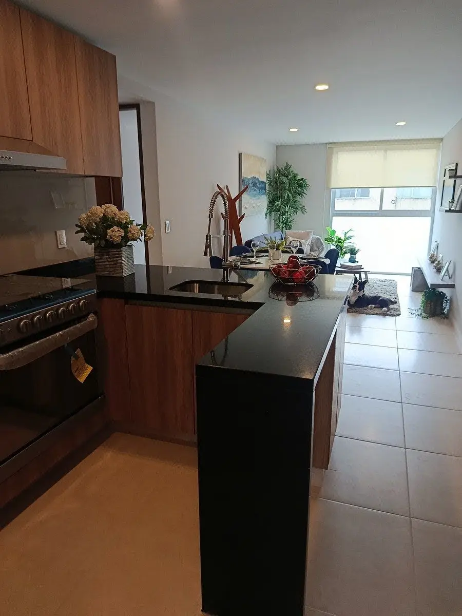 Venta departamento Col. Zacahuitzco, calle Mónaco, BJ, CDMX — foto 2